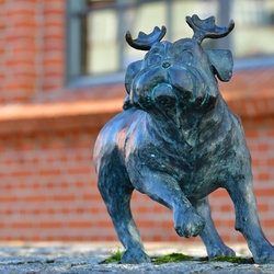 2026-01-08 Brandenburg an der Havel/Waldmöpse/DSC_2272.JPG